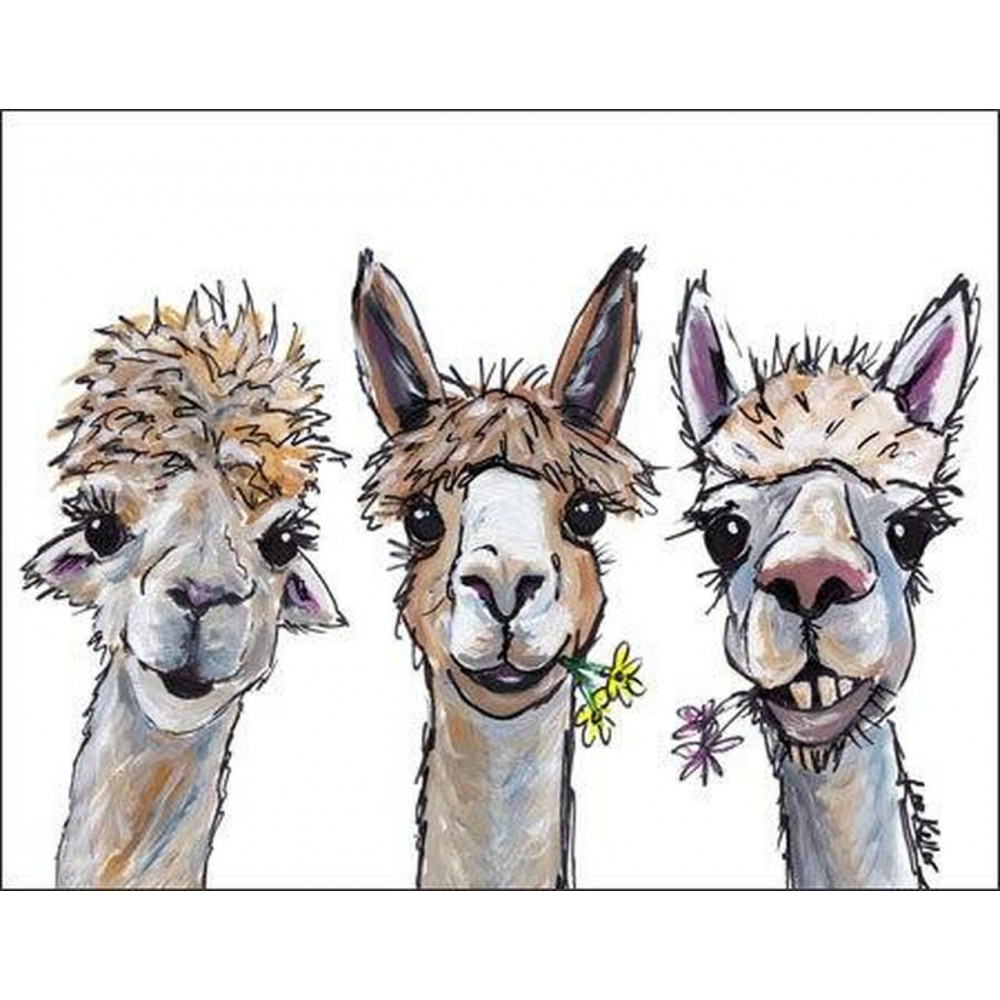 Alpaca Trio