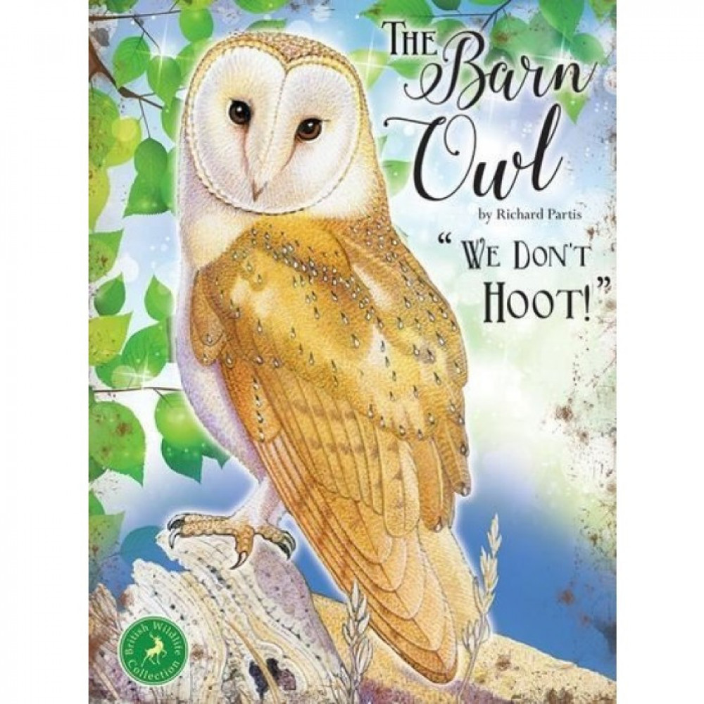 Barn Owl