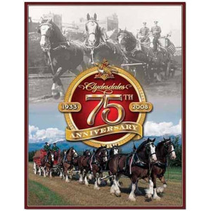 Budweiser Clydesdales 75th Anniversary