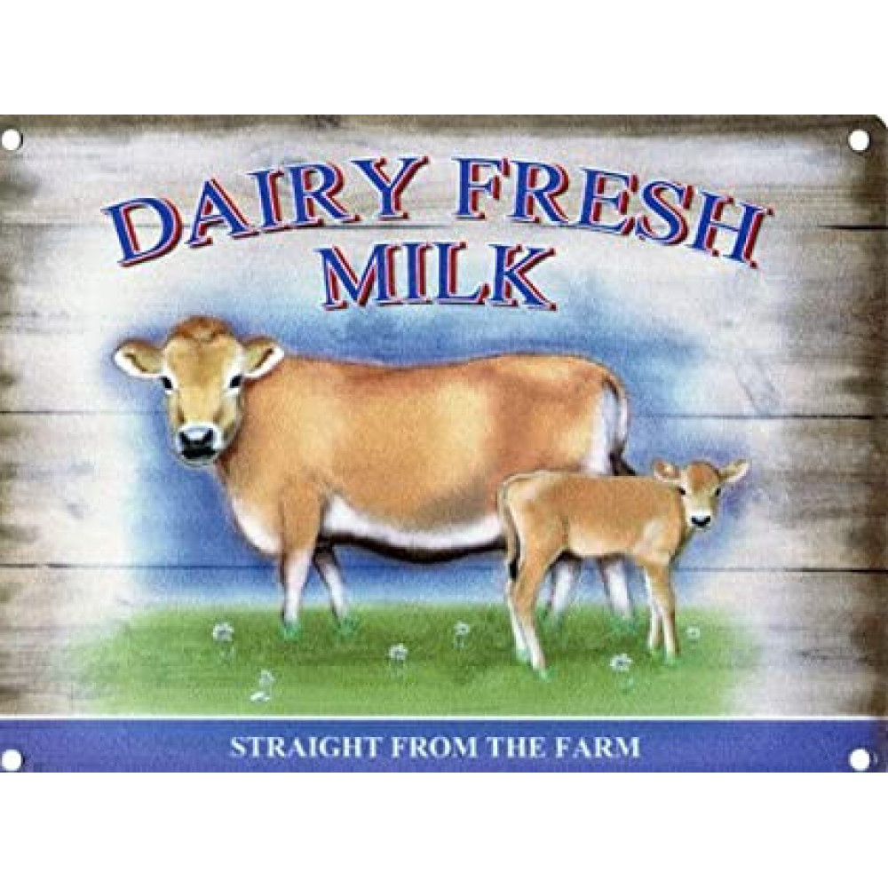 DAIRY FRESH MILK