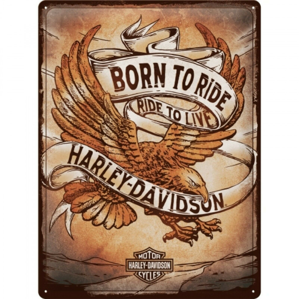 Harley Davidson - Born to Ride Eagle