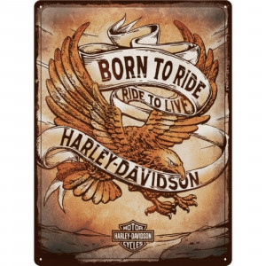 Harley Davidson - Born to Ride Eagle