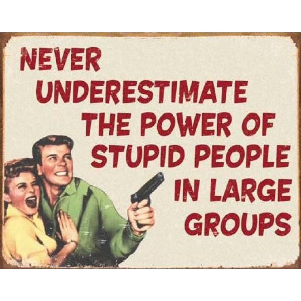 Never Underestimate Stupid People